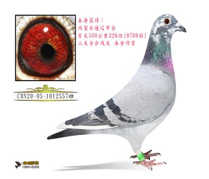 ĸH
