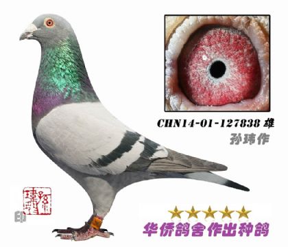 5̖(ho)--ɣɭղɭħϵ-127838-