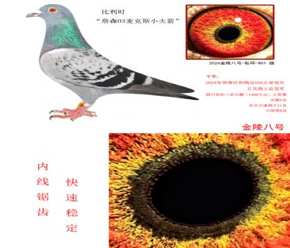 8r(sh)ղɭ03˹С