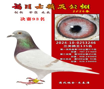 徐州精英公棚決賽93名