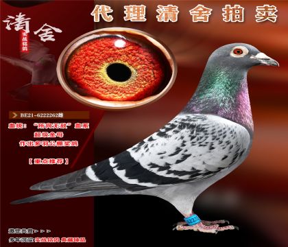 oѪϵԭh(hun)N