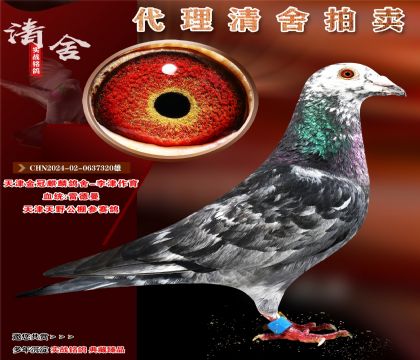 û