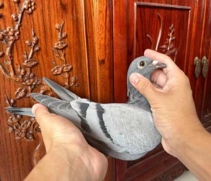 _(ti)󱱅^(q)ِxֲ59H307̖(ho)