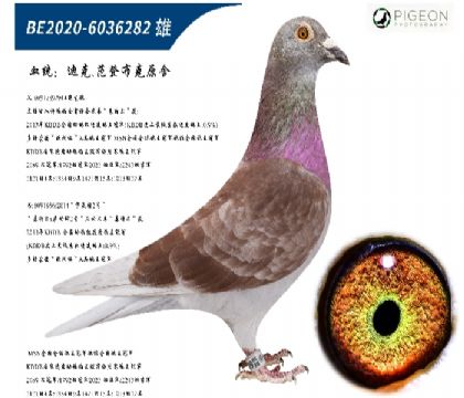 Ͽ˷ǲ˺ütֱ̖ؠֱŮС