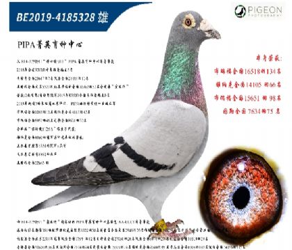r911ֱӣٶһM