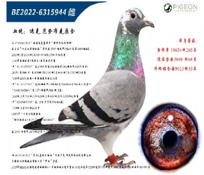 ؠ006ֱŮ؄e]
