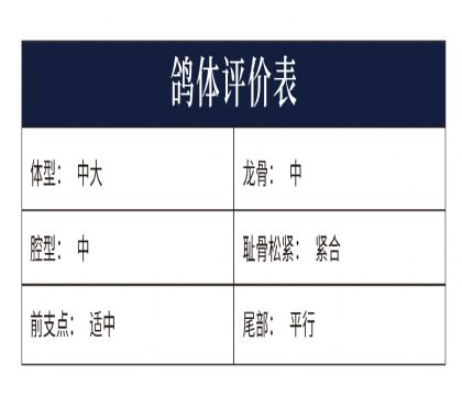 0558872yu