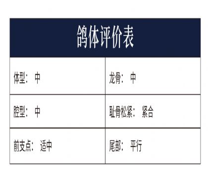 0558875yu