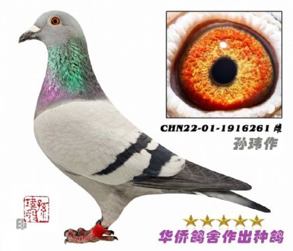 4̖--S䌦֮Ů22-01-1916261-