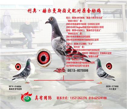 游