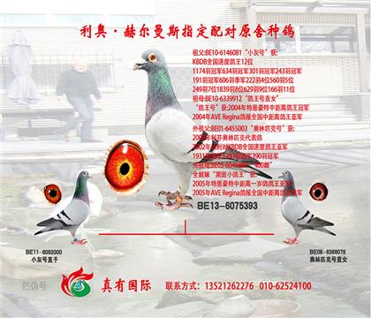 游