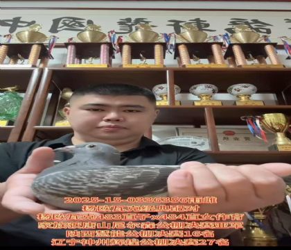 W߿˽(jng)䌦(du)483ֱX(ju)484ֱŮ