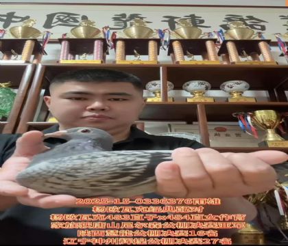 W߿˽(jng)䌦(du)483ֱX(ju)484ֱŮ