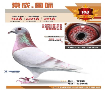 常成國際賽鴿公棚500公里決賽143名 雌