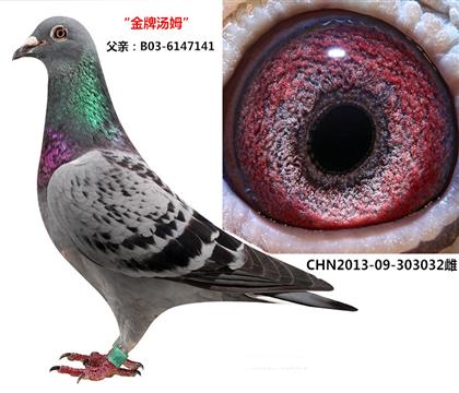 ĸH