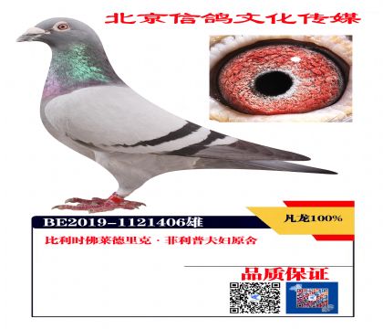 百分百凡龍 佛萊德里克·菲利普夫婦原舍