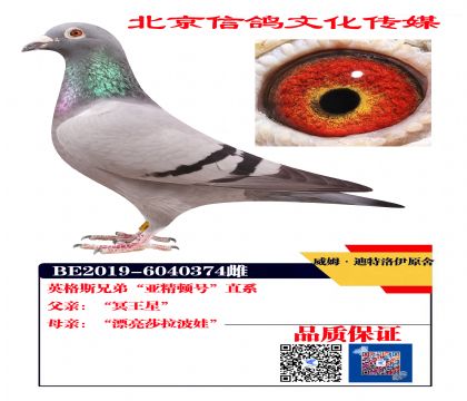 威姆迪特洛伊原舍