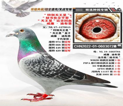 威廉-迪布恩 “天王星”近親回血