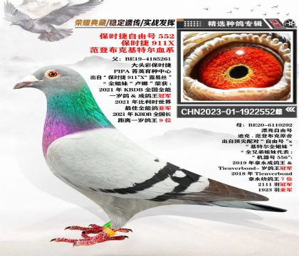 “保時捷911”X基特爾血系 經(jīng)典組合