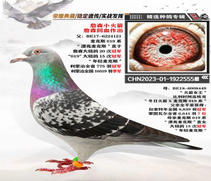“詹森小火箭”近親回血 穩(wěn)定遺傳 鎮(zhèn)棚級種雌