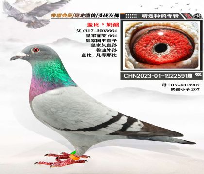 蓋比X奶酪 強強聯(lián)合 打造經(jīng)典血系