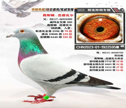 葛斯頓-范德瓦爾 實戰(zhàn)家族 “威瑪全兄弟”做育