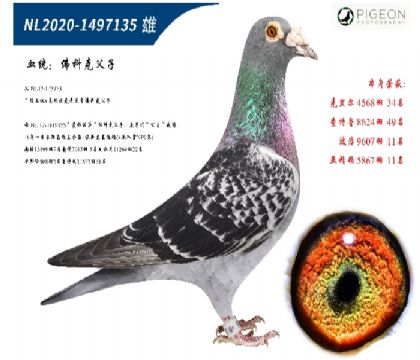 未命名