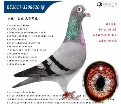 未命名