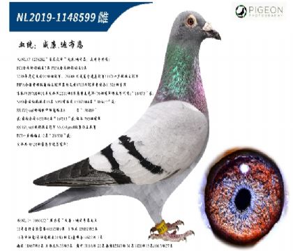 未命名