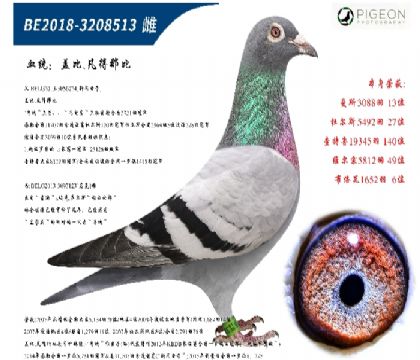未命名