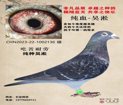 吳淞