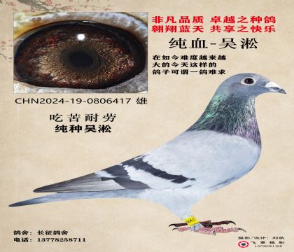 吳淞