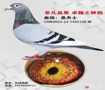 桑潔士
