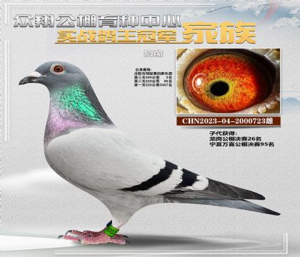 奶酪723季軍
