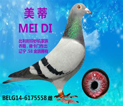 ĸH