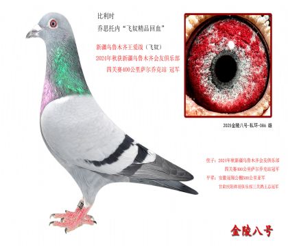 2r ˼Ѓ(ni)wūƷѪ