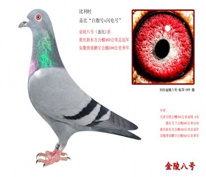 3r wȡ׸̖xW̖