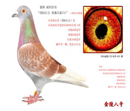 5 桰Ht ղɭt731