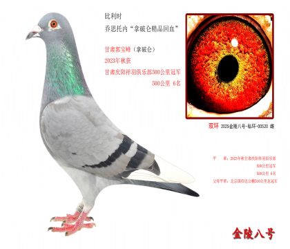 6r ˼Ѓ(ni)ƁƷѪ