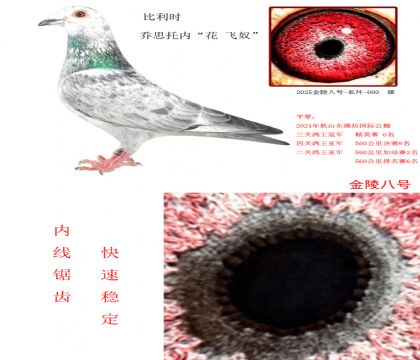 8r ˼Ѓ(ni) wū