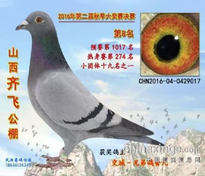 公棚8名金母017