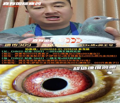 389(qing)(sh)z003xP(yng)x̖(ho)ؽH