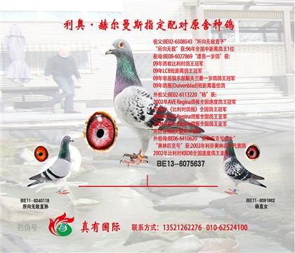 游