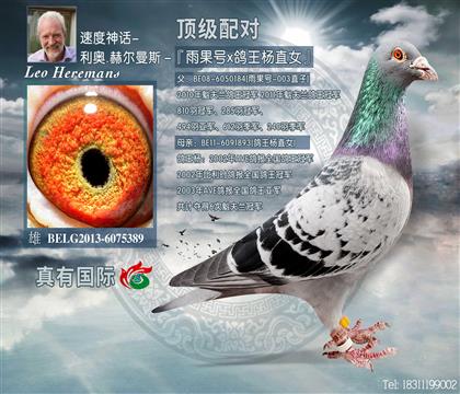 游-(j)389