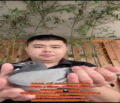 龍軒鉆石配對(duì)十冠王X五冠王作育