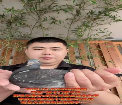 提速法寶!喬斯佛卡門野馬號(hào)直子X直女近親作育