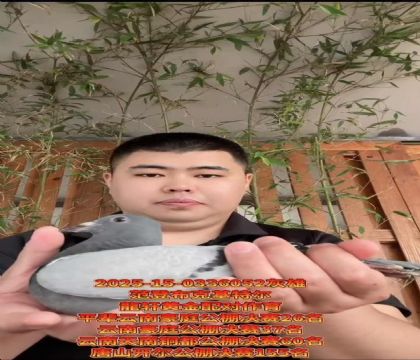 范登布克基特爾 平輩云南豪庭公棚決賽26名
