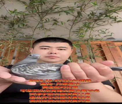 提速保血!蓋比超級(jí)羅密歐直子X新閃電直女作育