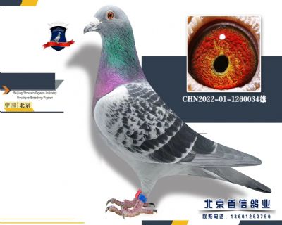 ҲĬ·N