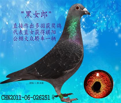 ĸH Ů